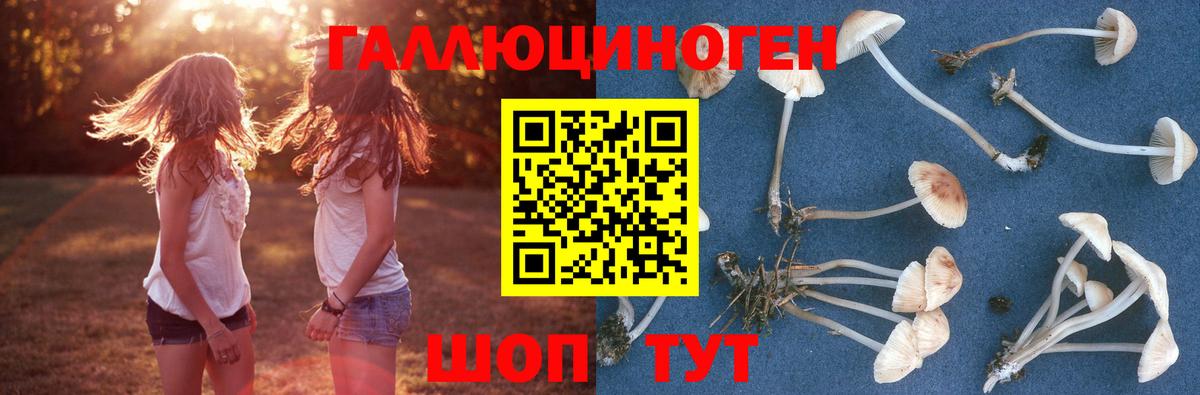 Кунгур  закладка  Псилоцибиновые грибы прущие грибы  Вход с VPN  Галлюциногенные грибы Cubensis 
